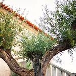 Fonte Velha Hotel Casteloes (Porto)