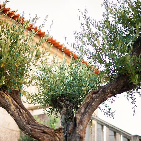 Fonte Velha Hotel Casteloes (Porto)