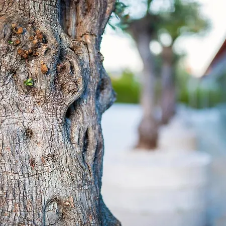 Fonte Velha ホテル Casteloes (Porto)