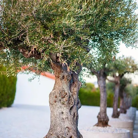 Fonte Velha Hotel Casteloes (Porto)