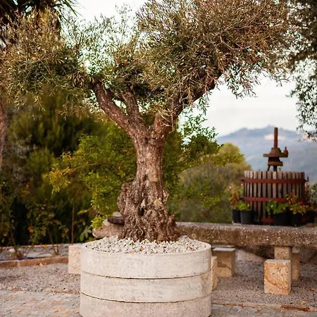 Fonte Velha ホテル *