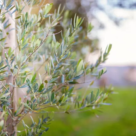 Fonte Velha ホテル Casteloes (Porto)