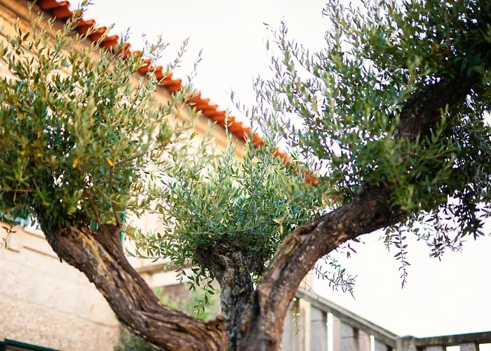 Fonte Velha Hotel Casteloes (Porto)