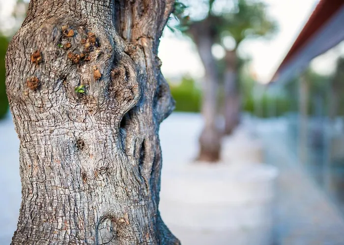 Fonte Velha Otel Casteloes (Porto)