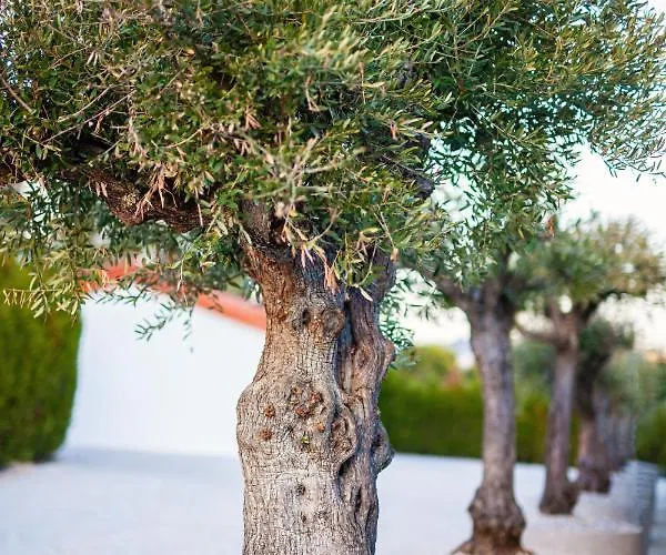 Fonte Velha Hotel Casteloes (Porto)