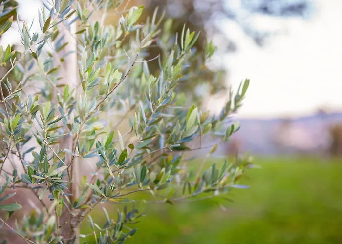 Fonte Velha Hotel Casteloes (Porto)